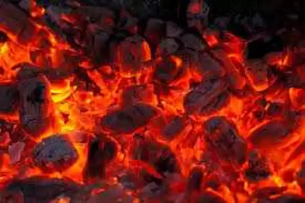 Charcoal Business Booms In Ondo As Cooking Gas Price Increases